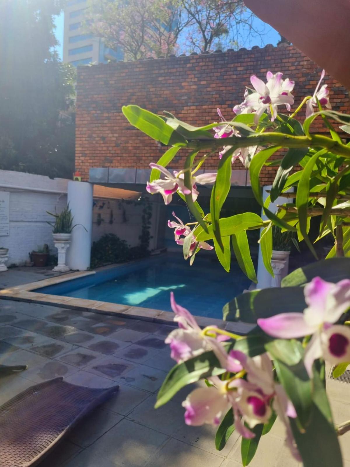 Hotel Hassler Asuncion Bagian luar foto